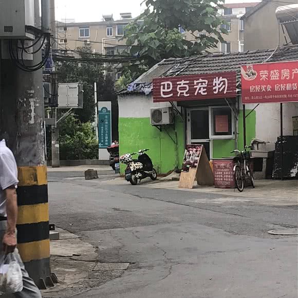 巴克宠物狗:镇江市京口区江滨路/东吴路附近