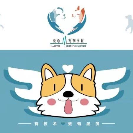 爱心宠物医院(北固湾店):镇江市京口区江滨路/东吴路附近