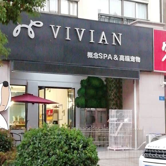 VIVIAN概念SPA高端宠物:镇江市京口区江苏大学附近