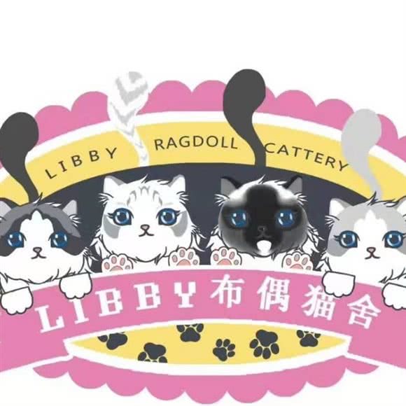 Libby布偶猫舍:镇江市京口区江苏大学附近