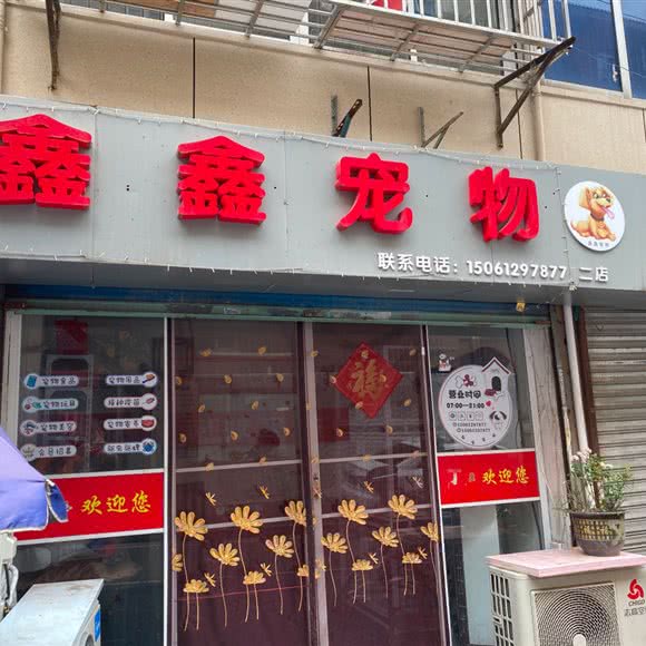 鑫鑫宠物:镇江市京口区梦溪广场附近