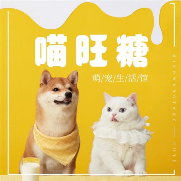 喵旺糖宠物(义宾店):北京城区顺义区顺义附近