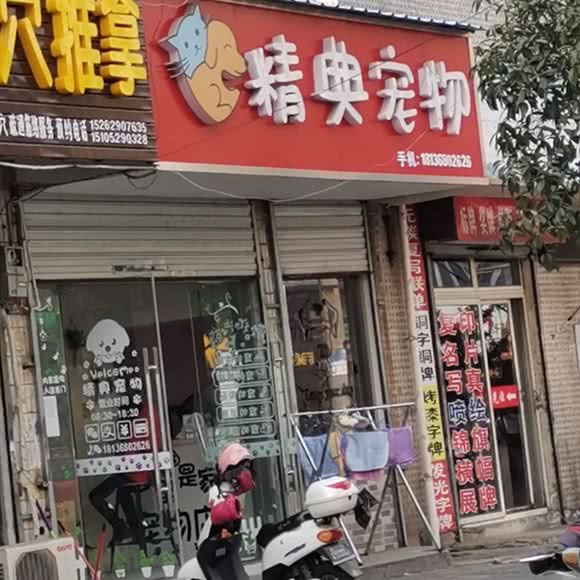 精典宠物:镇江市京口区梦溪广场附近