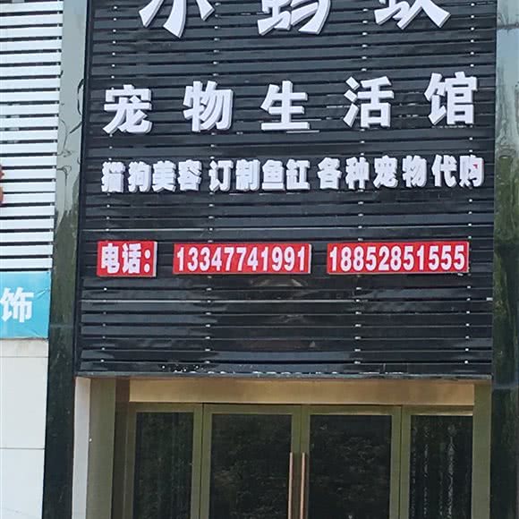 小蚂蚁宠物生物馆:镇江市京口区丁卯开发区附近