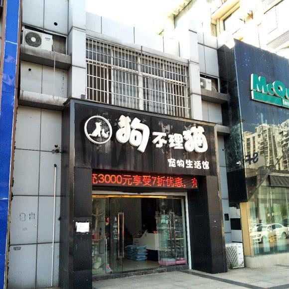 狗不理猫宠物生活馆:镇江市京口区丁卯开发区附近
