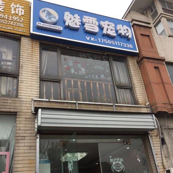 魅雪宠物:镇江市京口区丁卯开发区附近