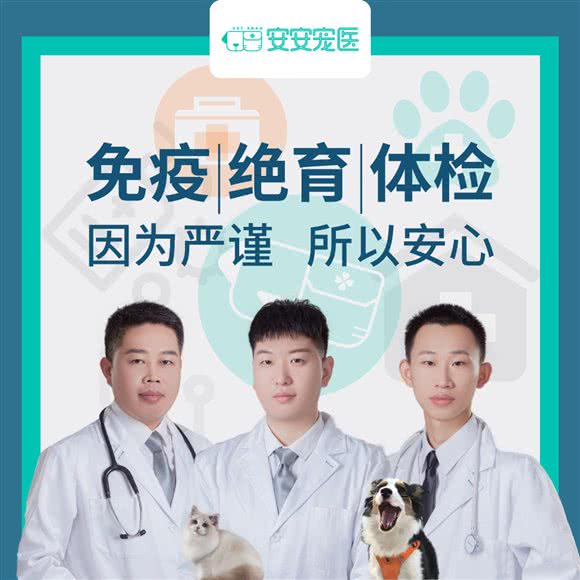 安安宠医(学林雅郡分院):镇江市京口区丁卯开发区附近