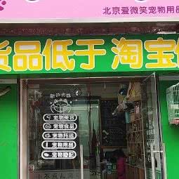 小不点儿宠物狗:北京城区顺义区顺义附近