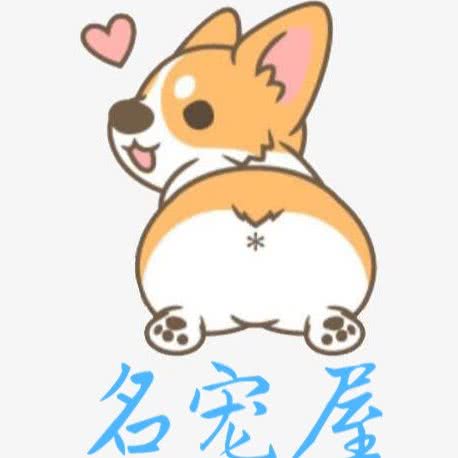 名宠屋:镇江市京口区中山桥附近