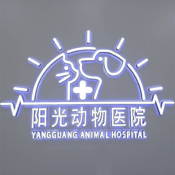 阳光动物医院:镇江市京口区龙吟坊附近