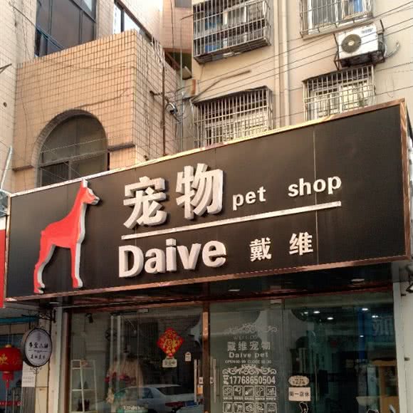 戴维宠物:镇江市京口区苏宁广场附近