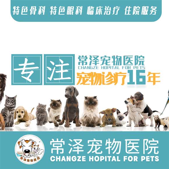 常泽宠物医院:镇江市润州区三茅宫附近