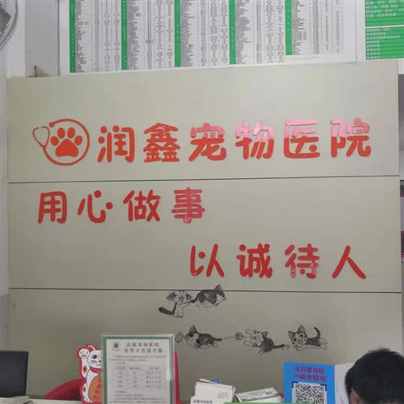 润鑫宠物医院:镇江市润州区天和星城附近