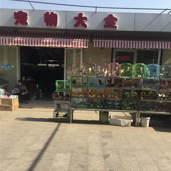 宠物大全:镇江市润州区南山附近