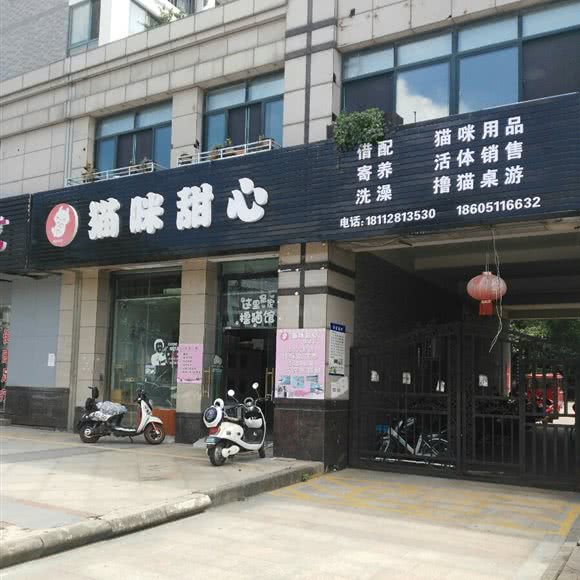 猫咪甜心:镇江市丹徒区宝龙城市广场附近
