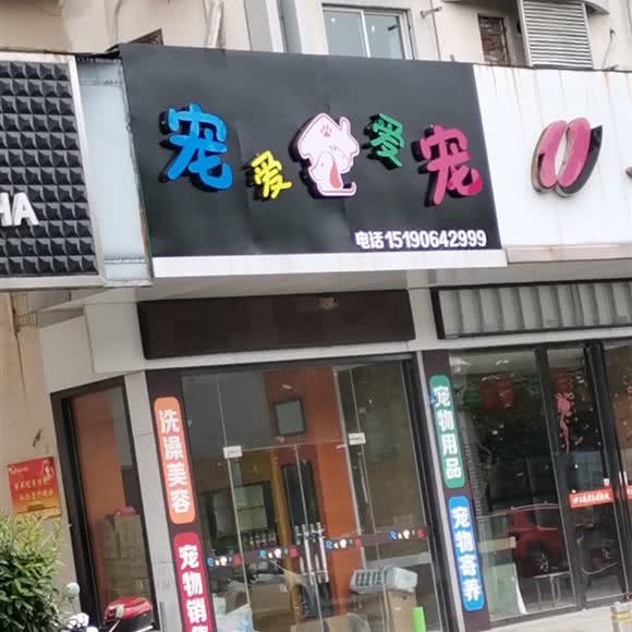 宠天爱宠:泰州市海陵区坡子街附近