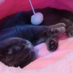 牧源康动物医院:泰州市海陵区大学城附近