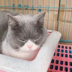 万千宠物生活馆:泰州市海陵区活力城附近