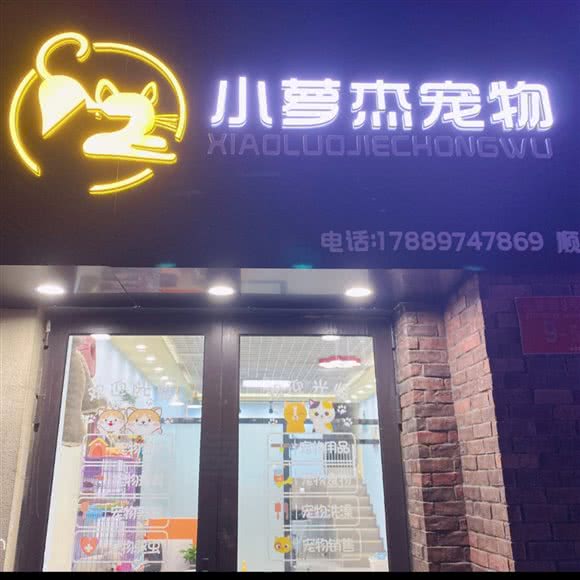 小萝杰宠物:北京城区顺义区顺义附近