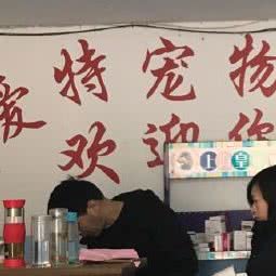 爱特宠物坊:泰州市海陵区莲花六号区附近