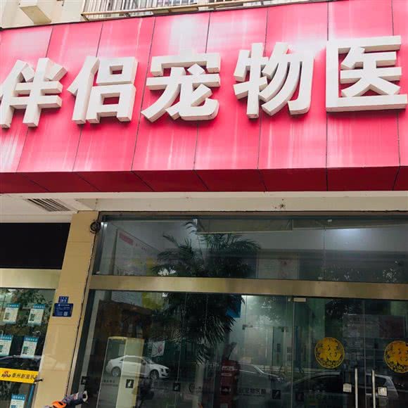 伴侣宠物医院:泰州市海陵区莲花六号区附近