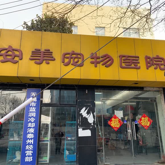 安美宠物医院(泰州分院):泰州市海陵区文峰大世界附近