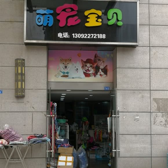 萌宠宝贝:泰州市海陵区市中心商业区附近