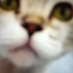 云之宠:泰州市海陵区万象城附近