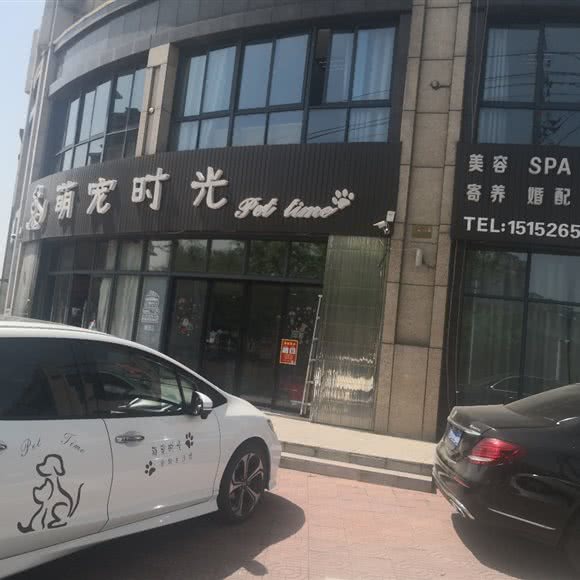 萌宠时光:泰州市靖江市靖城街道附近