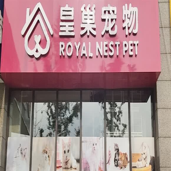 皇巢宠物:宿迁市宿城区宝龙广场附近