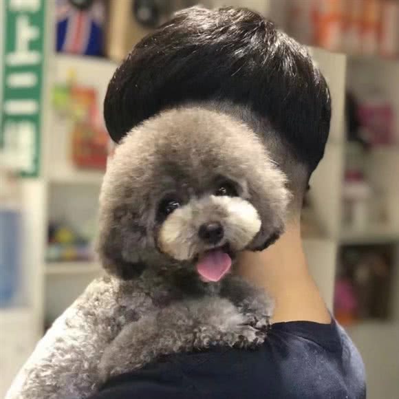 佳爱宠物医院(金色水岸店):宿迁市宿城区宝龙广场附近