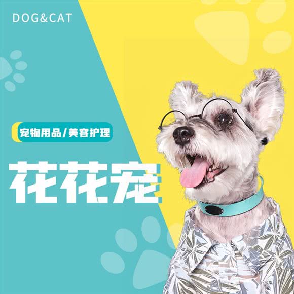 花花宠(顺鑫汇店):北京城区顺义区顺义附近