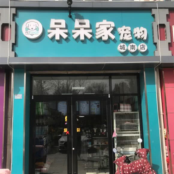 呆呆家狗狗:宿迁市沭阳县沭城街道附近