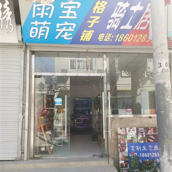 雨宝萌宠格子铺花卉:北京城区顺义区顺义附近