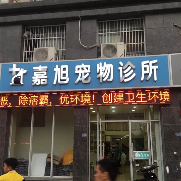 嘉旭宠物诊所:宿迁市沭阳县沭城街道附近