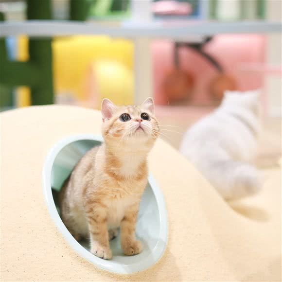 未卡猫空间(杭州IN77店):杭州市上城区湖滨/解百商厦附近