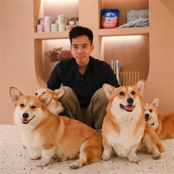 YANPET颜宠宠物美容·宠物烘焙(新天地店):杭州市上城区城东附近