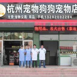 杭州宠物狗狗宠物店:杭州市上城区城东附近