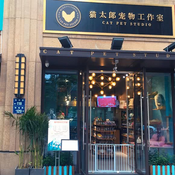 猫太郎宠物工作室:杭州市上城区城东附近