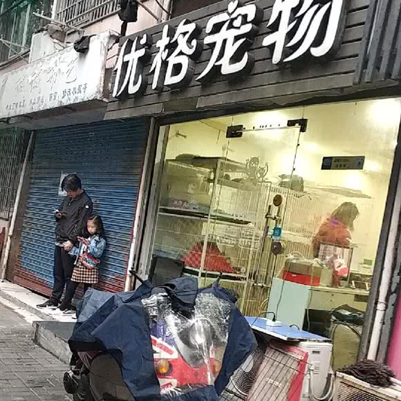 优格宠物:杭州市上城区城东附近