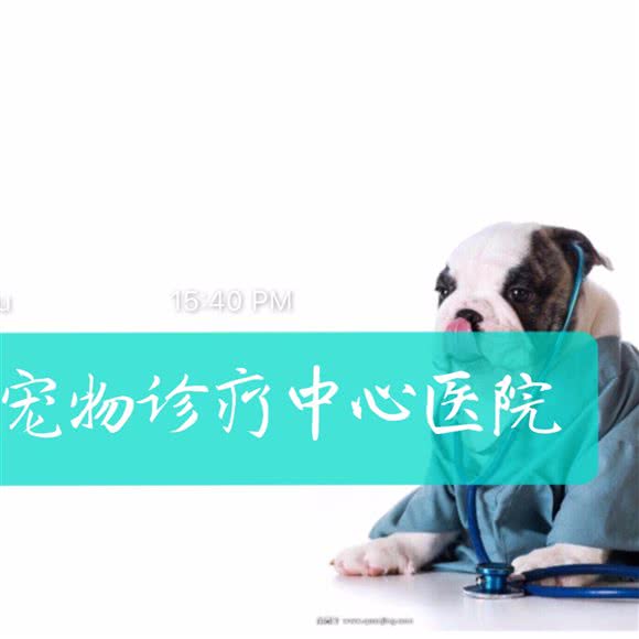 宝豆家族宠物诊疗中心(杨柳郡店):杭州市上城区城东附近