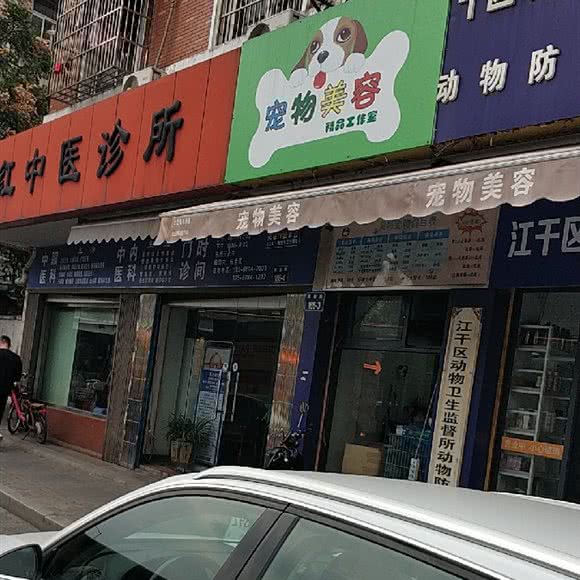 萌宠之家:杭州市上城区城东附近