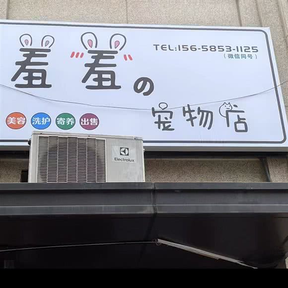 羞羞の宠物店:杭州市上城区城东附近