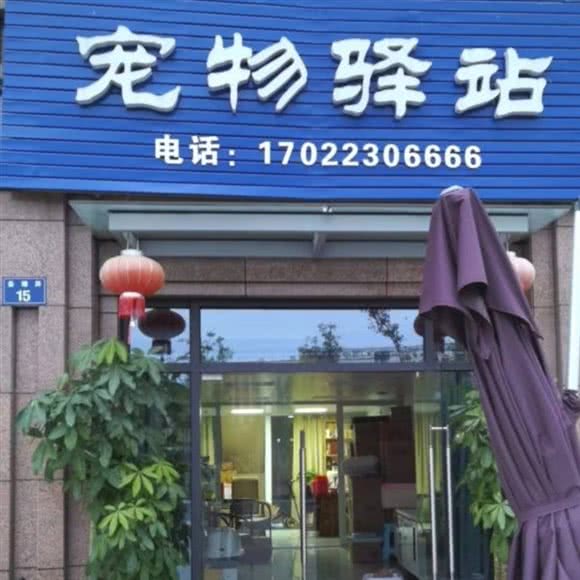 宠物驿站(市区店):杭州市上城区城东附近