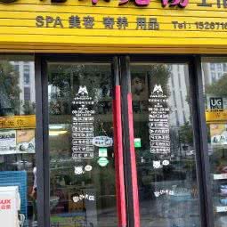 诺米宠物:杭州市上城区城东附近