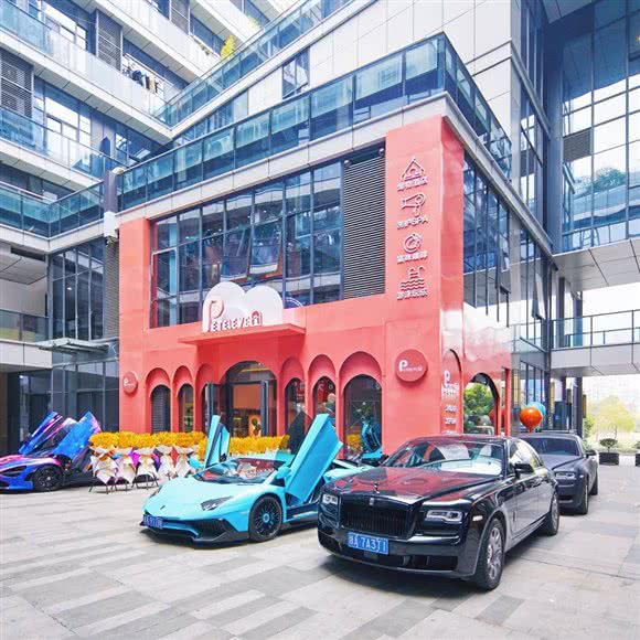 Peteleven宠十壹宠物·猫咖:杭州市上城区城东附近