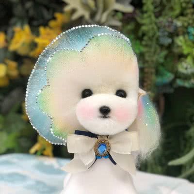 永润建文宠物造型设计:北京城区朝阳区亚运村附近