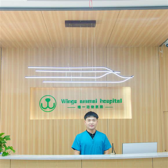 派吉斯?惟一动物医院:杭州市上城区城东附近