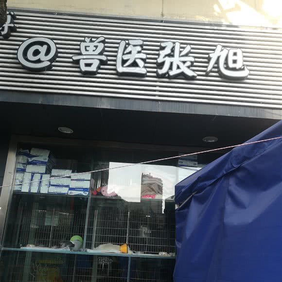 兽医张旭:杭州市上城区城东附近