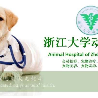 杭州爱心动物医院(城东分院):杭州市上城区城东附近